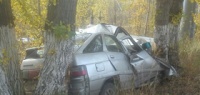 Отечественная легковушка «влетела» в дерево в Городце: 5 человек получили травмы